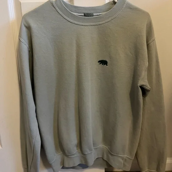 Brandy Melville Tops Brandy Melville Sage Green Sweatshirt